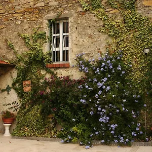 Al Vecchio Convento Mare E Monti Bed & Breakfast